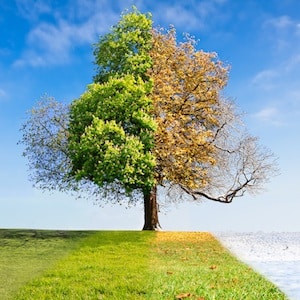 3 Smart Ways To Use Seasonal Marketing On Your Blog