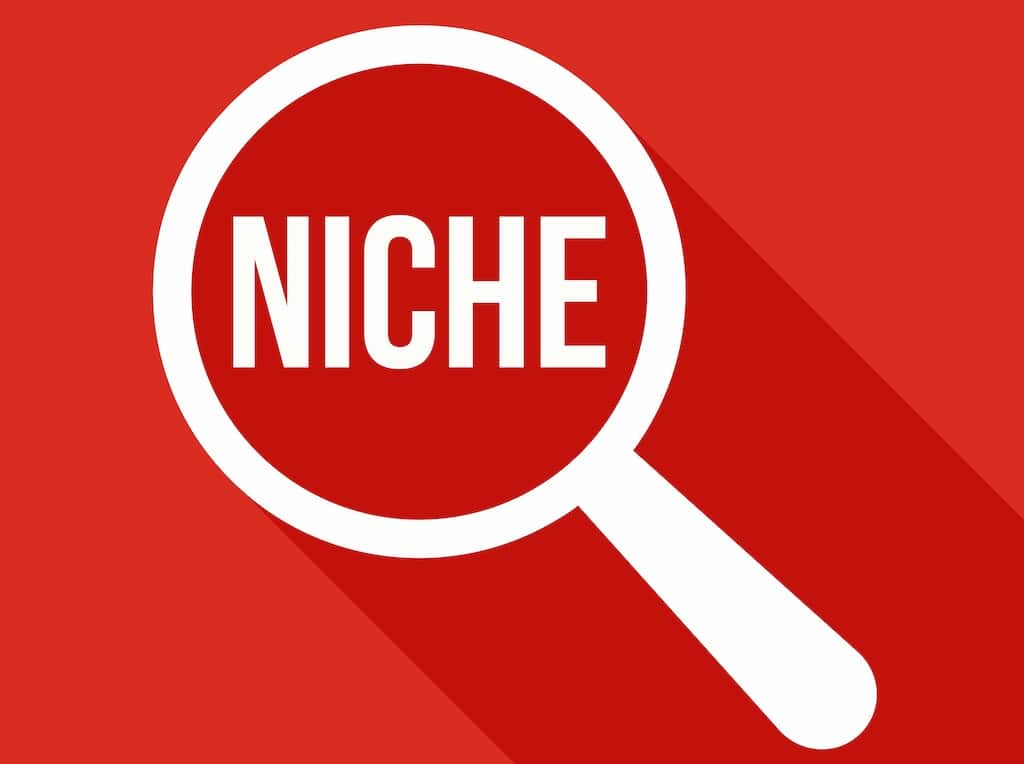 How To Reach Your Niche Audience 1